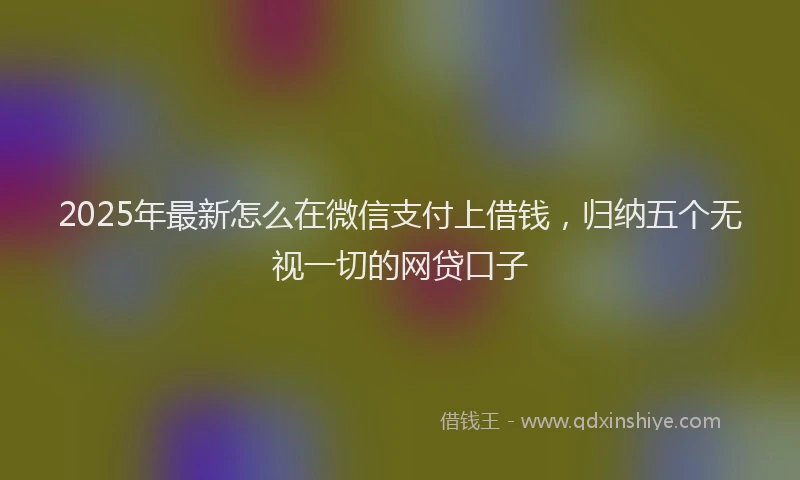 2025年最新怎么在微信支付上借钱，归纳五个无视一切的网贷口子