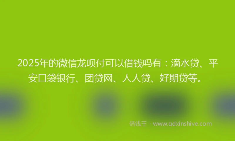 2025年的微信龙呗付可以借钱吗有：滴水贷、平安口袋银行、团贷网、人人贷、好期贷等。