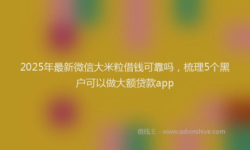 2025年最新微信大米粒借钱可靠吗，梳理5个黑户可以做大额贷款app