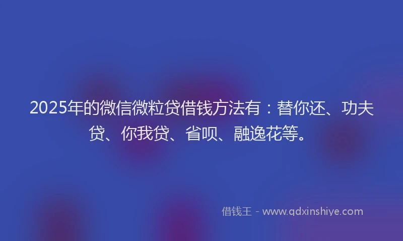 2025年的微信微粒贷借钱方法有：替你还、功夫贷、你我贷、省呗、融逸花等。