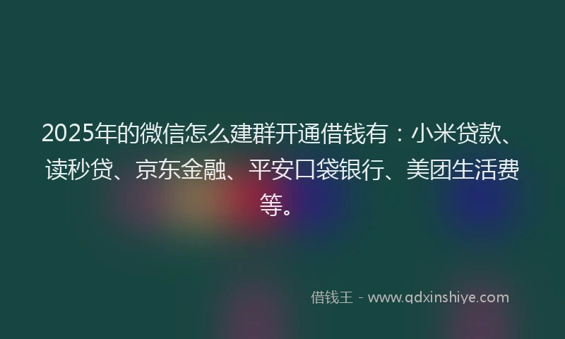 2025年的微信怎么建群开通借钱有：小米贷款、读秒贷、京东金融、平安口袋银行、美团生活费等。