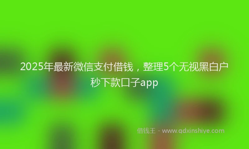 2025年最新微信支付借钱，整理5个无视黑白户秒下款口子app