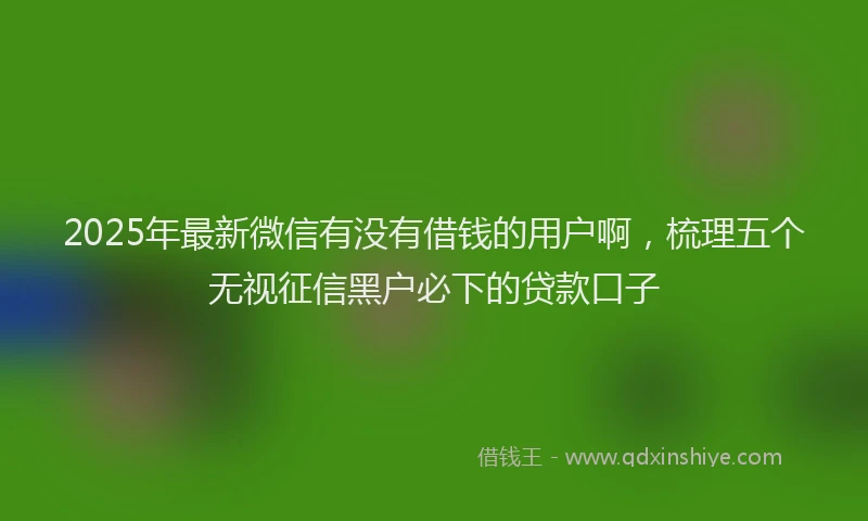 2025年最新微信有没有借钱的用户啊，梳理五个无视征信黑户必下的贷款口子
