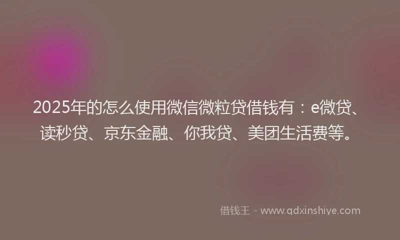 2025年的怎么使用微信微粒贷借钱有：e微贷、读秒贷、京东金融、你我贷、美团生活费等。