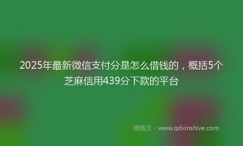 2025年最新微信支付分是怎么借钱的，概括5个芝麻信用439分下款的平台