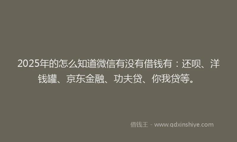 2025年的怎么知道微信有没有借钱有：还呗、洋钱罐、京东金融、功夫贷、你我贷等。