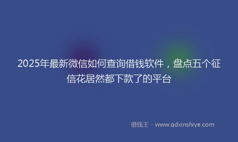 2025年最新微信如何查询借钱软件，盘点五个征信花居然都下款了的平台