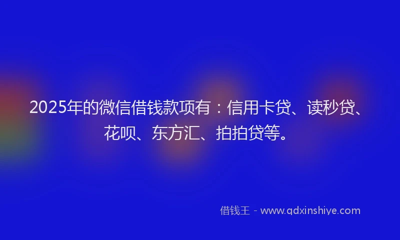 2025年的微信借钱款项有：信用卡贷、读秒贷、花呗、东方汇、拍拍贷等。