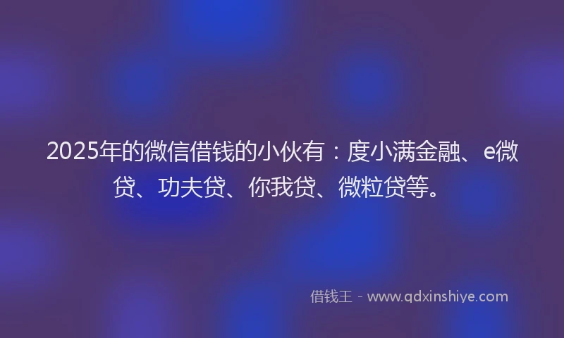 2025年的微信借钱的小伙有：度小满金融、e微贷、功夫贷、你我贷、微粒贷等。
