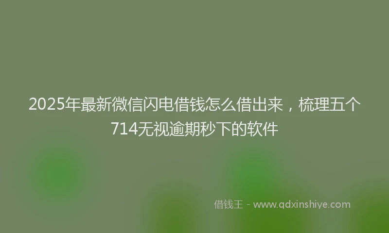 2025年最新微信闪电借钱怎么借出来，梳理五个714无视逾期秒下的软件