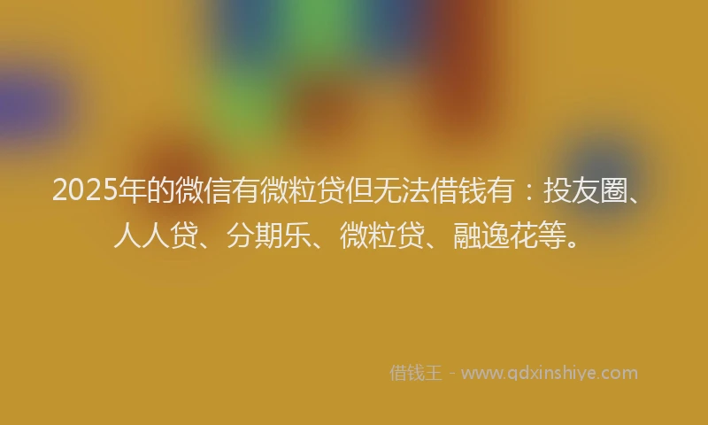 2025年的微信有微粒贷但无法借钱有：投友圈、人人贷、分期乐、微粒贷、融逸花等。