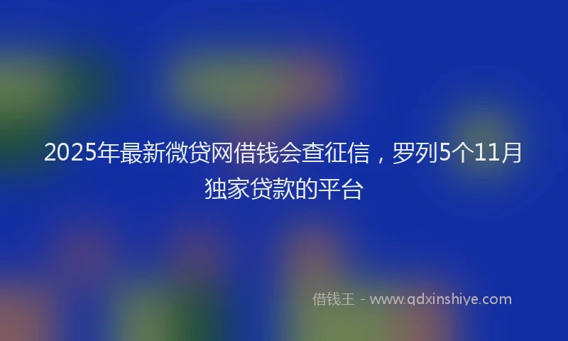 2025年最新微贷网借钱会查征信，罗列5个11月独家贷款的平台