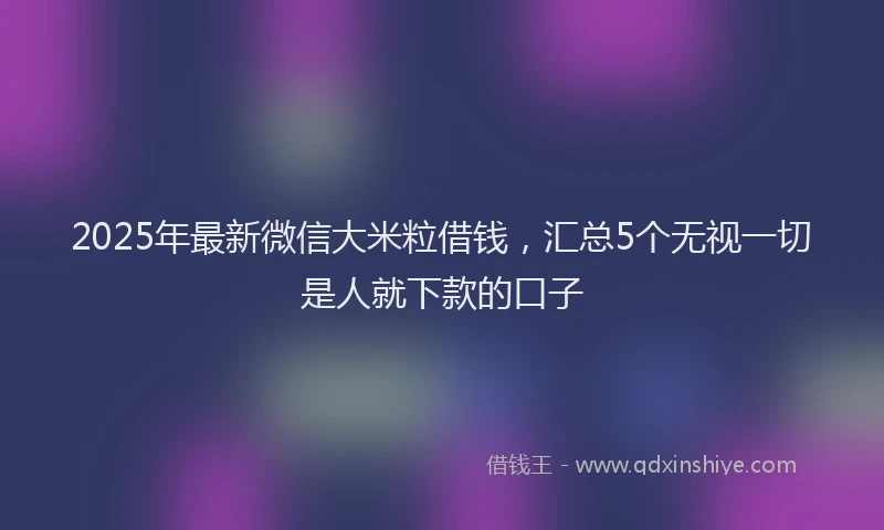 2025年最新微信大米粒借钱，汇总5个无视一切是人就下款的口子