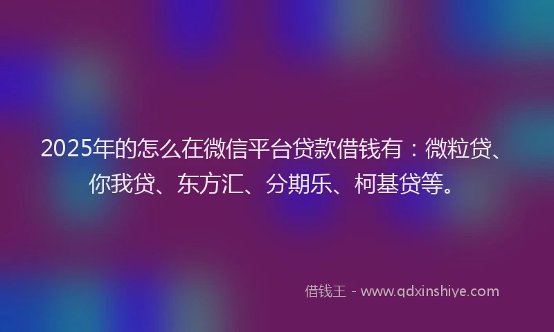 2025年的怎么在微信平台贷款借钱有：微粒贷、你我贷、东方汇、分期乐、柯基贷等。