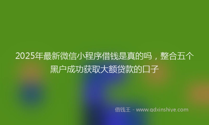 2025年最新微信小程序借钱是真的吗，整合五个黑户成功获取大额贷款的口子