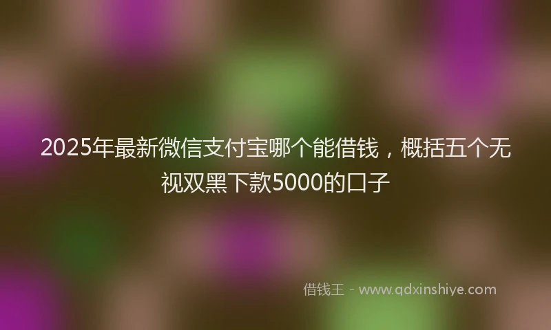 2025年最新微信支付宝哪个能借钱，概括五个无视双黑下款5000的口子