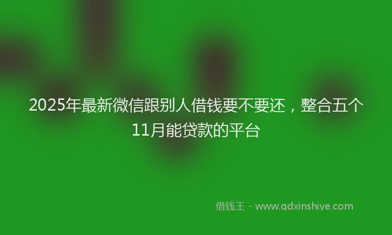 2025年最新微信跟别人借钱要不要还，整合五个11月能贷款的平台