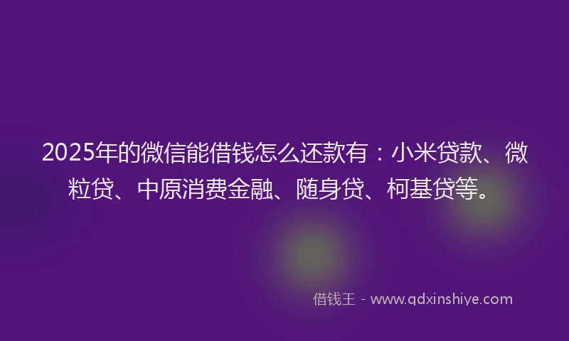 2025年的微信能借钱怎么还款有：小米贷款、微粒贷、中原消费金融、随身贷、柯基贷等。