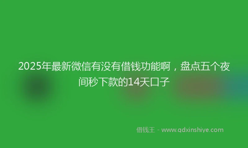 2025年最新微信有没有借钱功能啊，盘点五个夜间秒下款的14天口子
