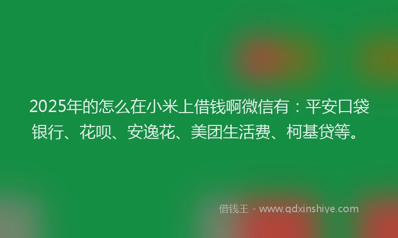 2025年的怎么在小米上借钱啊微信有：平安口袋银行、花呗、安逸花、美团生活费、柯基贷等。