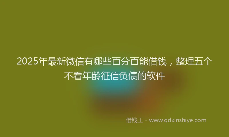 2025年最新微信有哪些百分百能借钱，整理五个不看年龄征信负债的软件