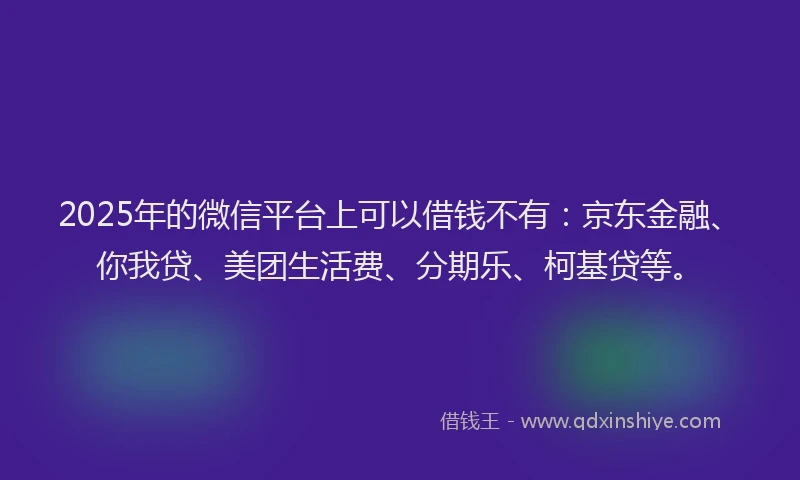 2025年的微信平台上可以借钱不有：京东金融、你我贷、美团生活费、分期乐、柯基贷等。