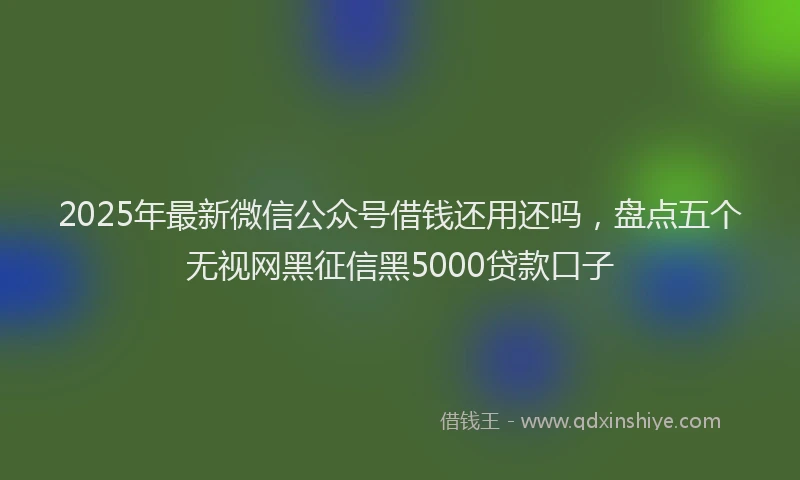 2025年最新微信公众号借钱还用还吗，盘点五个无视网黑征信黑5000贷款口子