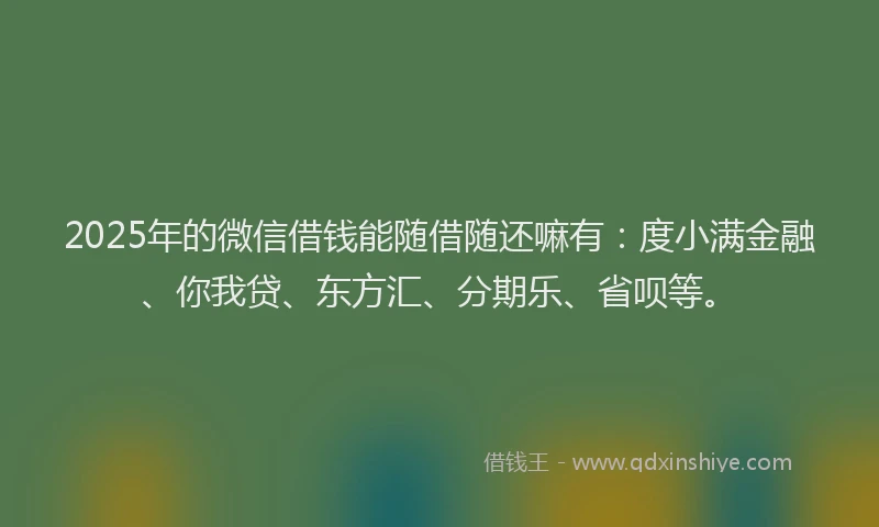 2025年的微信借钱能随借随还嘛有：度小满金融、你我贷、东方汇、分期乐、省呗等。