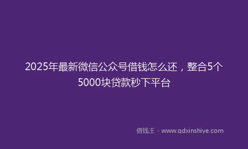 2025年最新微信公众号借钱怎么还，整合5个5000块贷款秒下平台