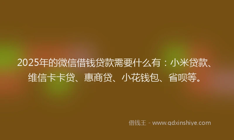 2025年的微信借钱贷款需要什么有：小米贷款、维信卡卡贷、惠商贷、小花钱包、省呗等。