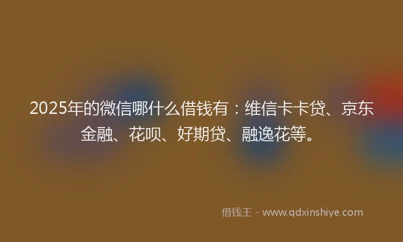 2025年的微信哪什么借钱有：维信卡卡贷、京东金融、花呗、好期贷、融逸花等。