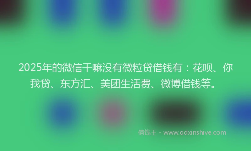 2025年的微信干嘛没有微粒贷借钱有：花呗、你我贷、东方汇、美团生活费、微博借钱等。