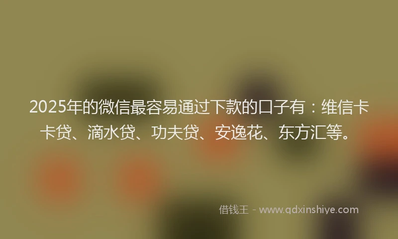 2025年的微信最容易通过下款的口子有：维信卡卡贷、滴水贷、功夫贷、安逸花、东方汇等。