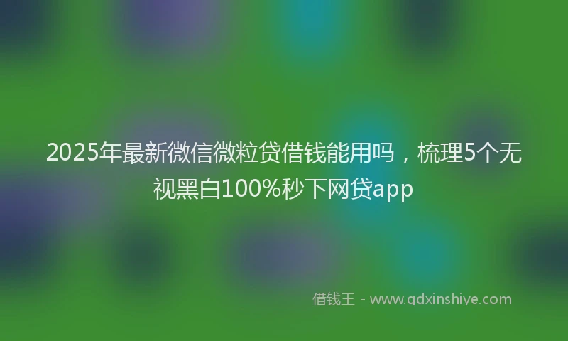 2025年最新微信微粒贷借钱能用吗，梳理5个无视黑白100%秒下网贷app