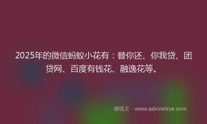 2025年的微信蚂蚁小花有：替你还、你我贷、团贷网、百度有钱花、融逸花等。