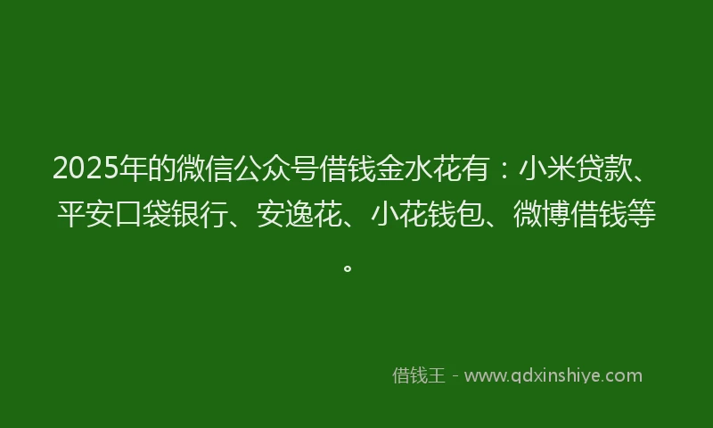 2025年的微信公众号借钱金水花有：小米贷款、平安口袋银行、安逸花、小花钱包、微博借钱等。