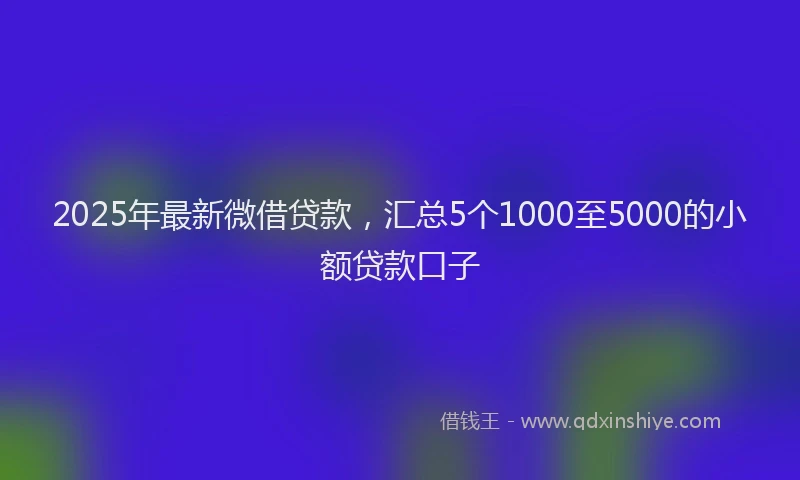 2025年最新微借贷款，汇总5个1000至5000的小额贷款口子
