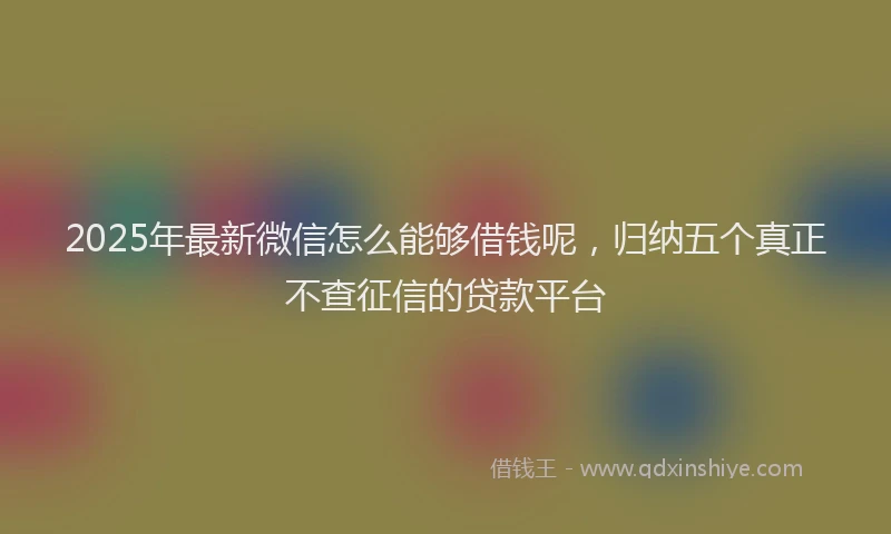 2025年最新微信怎么能够借钱呢，归纳五个真正不查征信的贷款平台