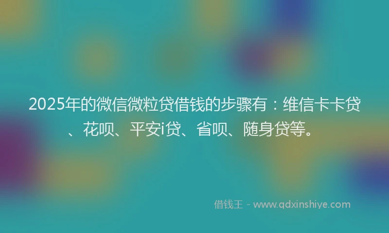 2025年的微信微粒贷借钱的步骤有：维信卡卡贷、花呗、平安i贷、省呗、随身贷等。