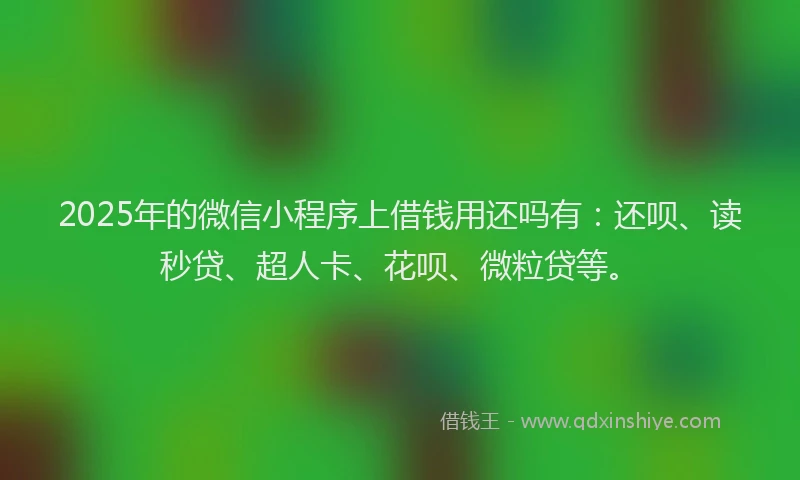 2025年的微信小程序上借钱用还吗有：还呗、读秒贷、超人卡、花呗、微粒贷等。