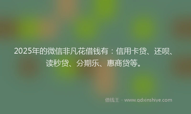 2025年的微信非凡花借钱有：信用卡贷、还呗、读秒贷、分期乐、惠商贷等。