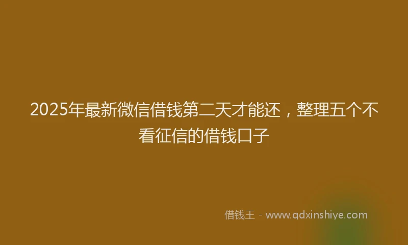 2025年最新微信借钱第二天才能还，整理五个不看征信的借钱口子
