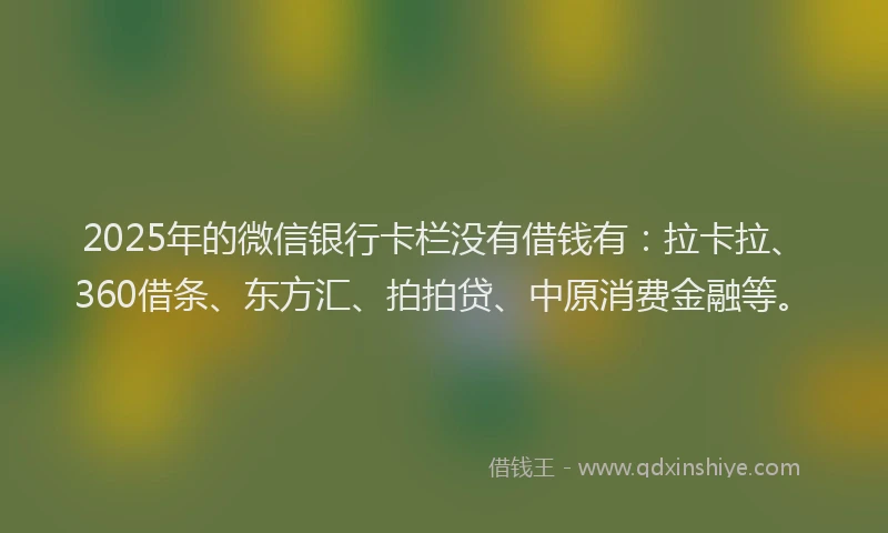 2025年的微信银行卡栏没有借钱有：拉卡拉、360借条、东方汇、拍拍贷、中原消费金融等。