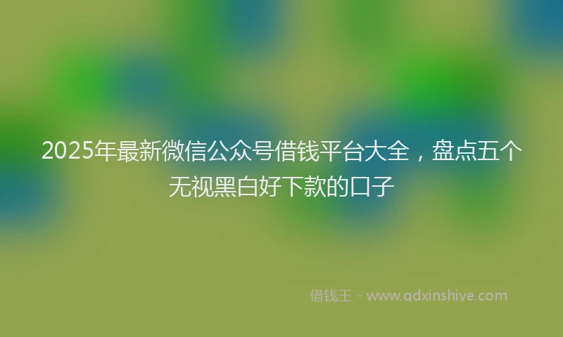 2025年最新微信公众号借钱平台大全，盘点五个无视黑白好下款的口子