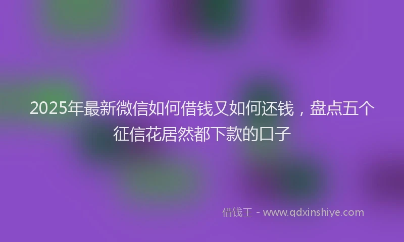 2025年最新微信如何借钱又如何还钱，盘点五个征信花居然都下款的口子