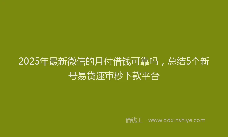2025年最新微信的月付借钱可靠吗，总结5个新号易贷速审秒下款平台