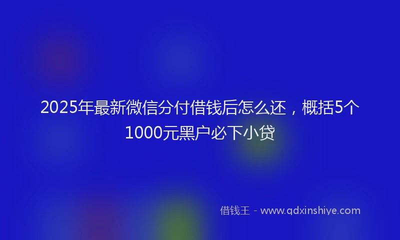 2025年最新微信分付借钱后怎么还，概括5个1000元黑户必下小贷