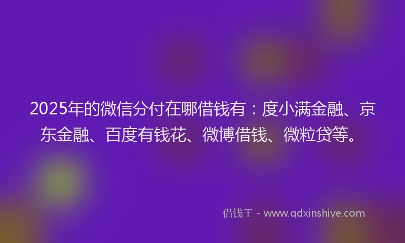 2025年的微信分付在哪借钱有：度小满金融、京东金融、百度有钱花、微博借钱、微粒贷等。