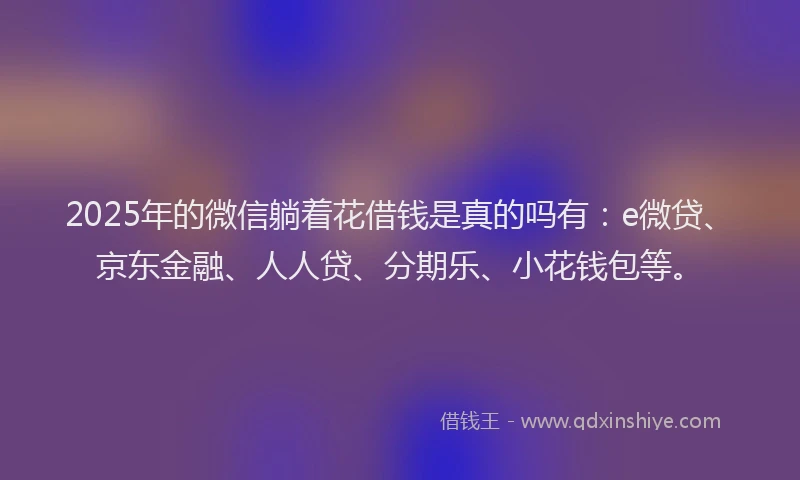 2025年的微信躺着花借钱是真的吗有：e微贷、京东金融、人人贷、分期乐、小花钱包等。