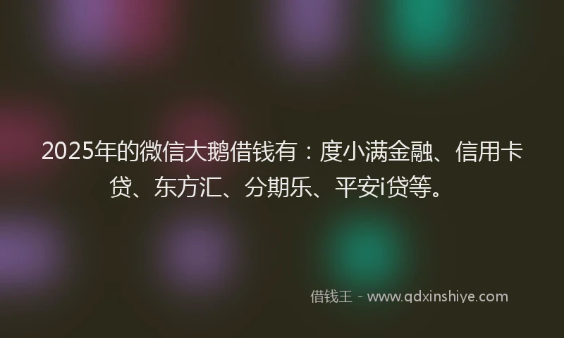 2025年的微信大鹅借钱有：度小满金融、信用卡贷、东方汇、分期乐、平安i贷等。